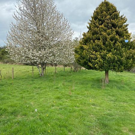 Campo, Tranquilidad, Relax Y Buenos Paisajes Villa Osorno Eksteriør billede