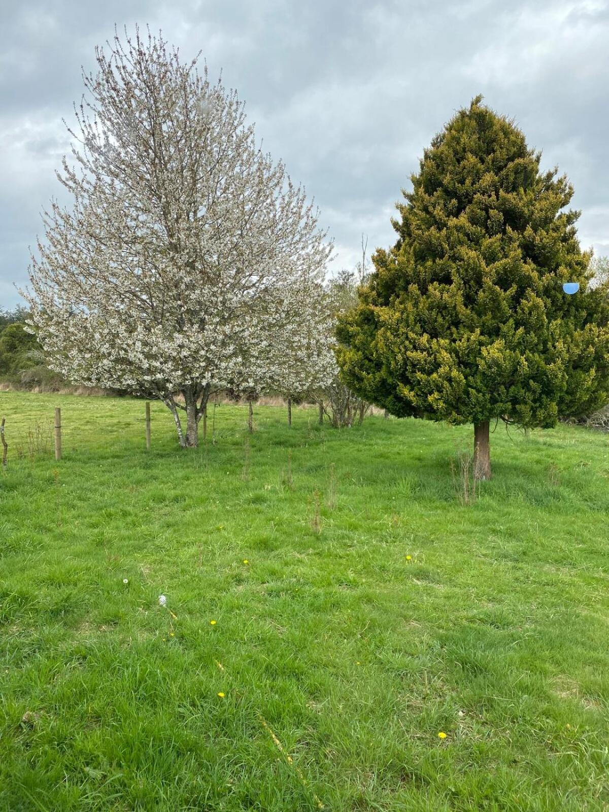 Campo, Tranquilidad, Relax Y Buenos Paisajes Villa Osorno Eksteriør billede